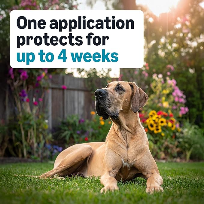 Amazon Basics PreventativeFlea, Tick & Mosquito Topical Treatment for X-Large Dogs (Over 55 pounds), 6 Count, Packaging May Vary