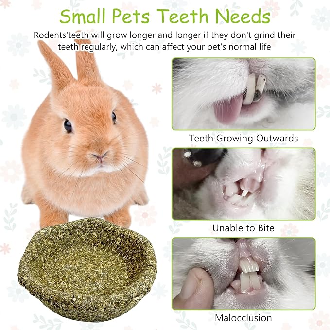 6 Pack Rabbit Chew Toys for Teeth Timothy Hay Chewing Bowl Natural Guinea Pig Treat Edible Small Animal Molar Toys for Bunny Chinchilla Hamster Gerbil Rat