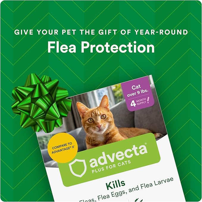 Advecta Plus Topical Large Cat Flea Treatment for Cats and Kittens, Flea Prevention and Control, Fast-Acting Waterproof Drops, 6-Month Supply