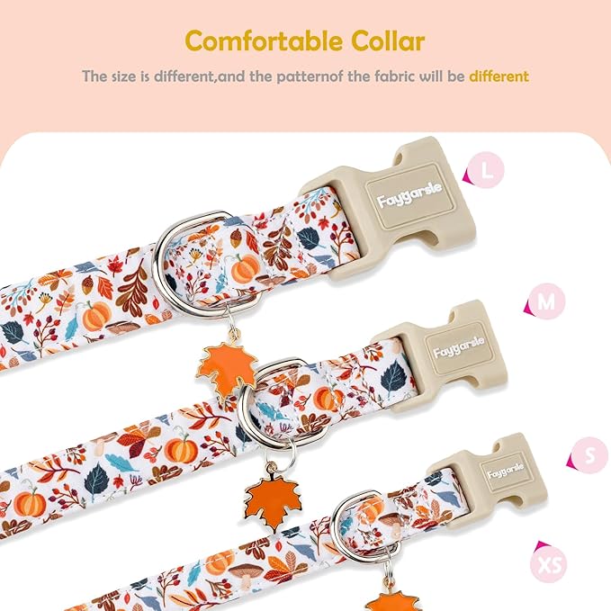 Faygarsle Fall Dog Collar, Autumn Floral Pattern with Maple Leaf Charm, White with Pumpkins and Leaves for Small Medium Large Dogs M