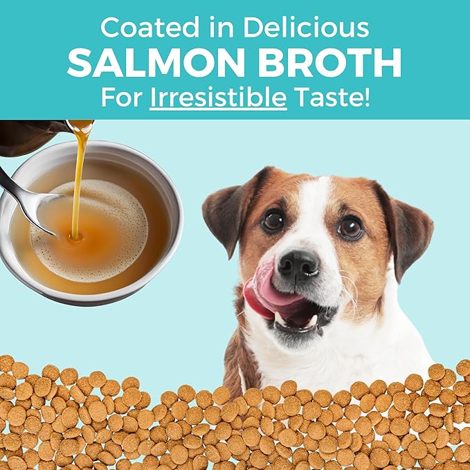 KOHA Limited Ingredient Bland Diet Dry Food for Dogs - Salmon & Brown Rice Recipe, Sensitive Stomach Dog Food with Pre & Probiotics - Pumpkin for Digestive Support, 3.5 lbs