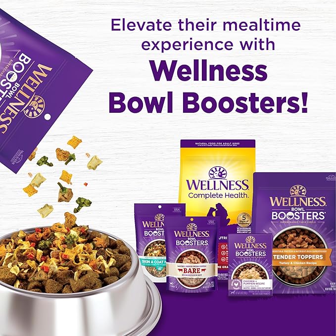 Wellness Complete Health Dry Dog Food, Wholesome Grains, Natural, Beef & Barley Recipe, (5-Poud Bag)