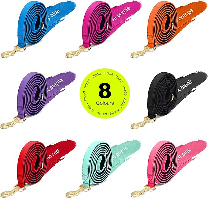 Didog 5FT Colorful Nylon Dog Leash with Soft Full-Length Padding, Lightweight and Durable Pet Leash for Medium and Large Dogs, Black, M