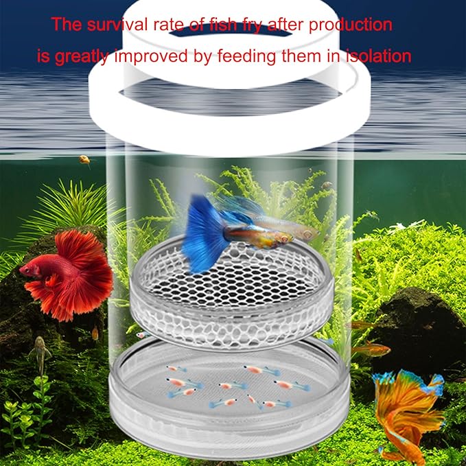 3pcs Floating Nursery Tanks Breeding Box for Baby Fish and Shrimp Great for Home and Office Aquariums Use