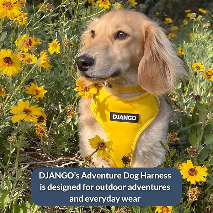 DJANGO Adventure Dog Harness - Stylish Large Dog Harness for Outdoor Adventures and Everyday Wear - Dandelion Yellow Neoprene Adjustable Harness for Dogs with Reflective Piping and Solid Brass D-Ring