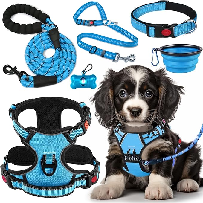 No Pull Dog Harness, Collar & Leash Set | Includes Dog Seat Belt, Collapsible Bowls & Poop Bag Dispenser. Ideal for Training, Walking, Hiking. Fits Small to Large Dogs(Blue-S)