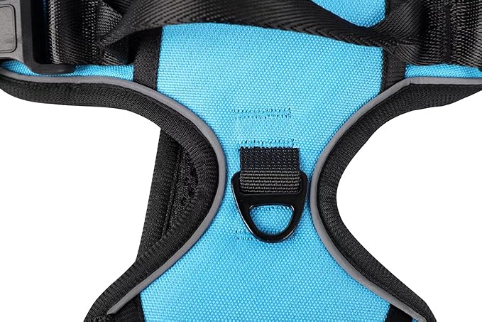 Blue No-Pull Dog Harness with 2 Leash Clips，Soft Padded Vest for Small Dog, Adjustable Reflective Dog Vest Easy to Put on and Take Off,(Neck: 13"~17", Chest: 17"~21",Blue Small)