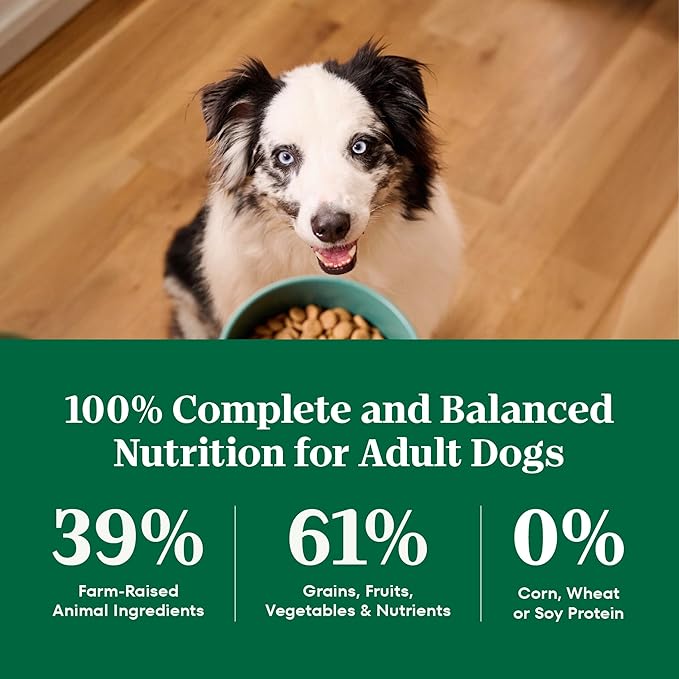 Nutro Natural Choice Adult Dry Dog Food, Lamb & Brown Rice Recipe, 36 lb. Bag
