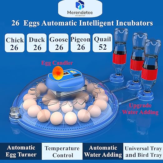 26-52 Eggs Automatic Incubator | Upgrade Automatic Water Adding |360 Degree View | incubators for Hatching Eggs |Without Installation Use