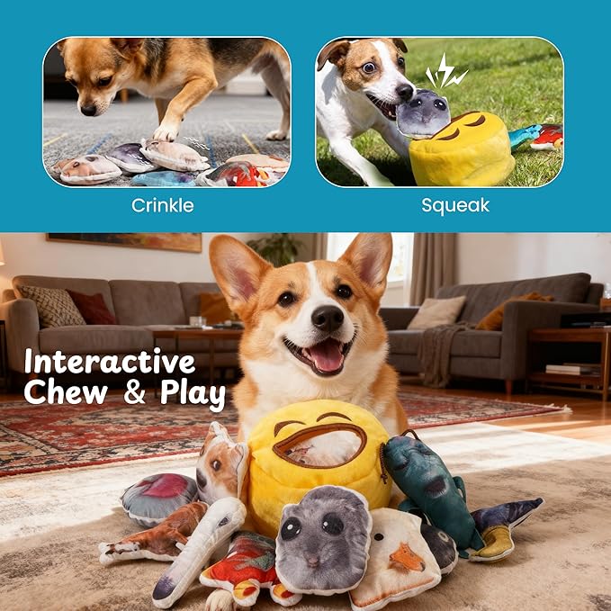 Nocciola Plush Squeaky Dog Toys – 12 Pack Small Dog Chew Toys with Squeakers, Soft Stuffed Puppy Toys with Carry Bag for Small & Medium Dogs