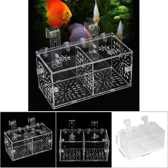 Fish Separation Box, Acrylic Transparent Fish Tank Breeding Isolation Box Aquarium Hatchery Incubator Holder(20CM*10CM*10CM)