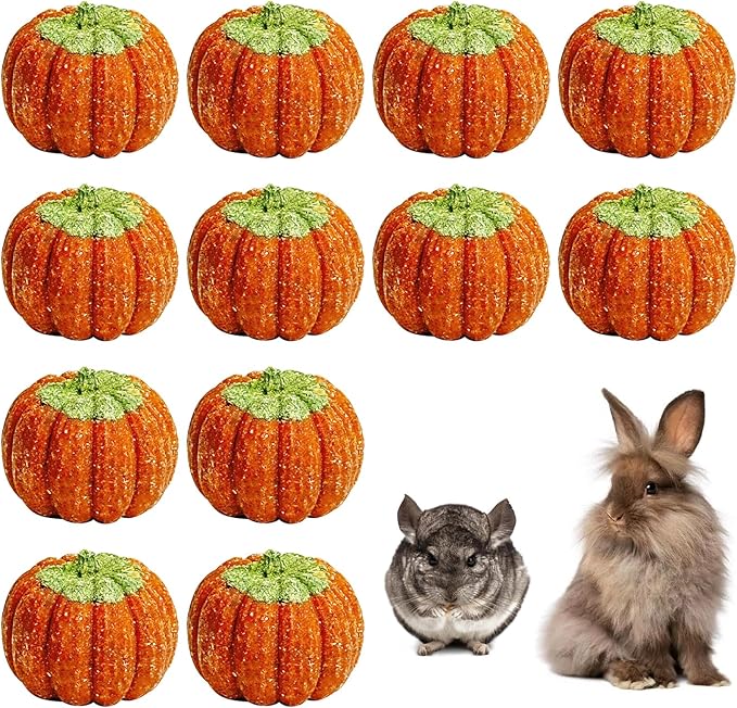 Fhiny 12 PCS Rabbit Chew Toys, Natural Pumpkin Carrot Timothy Grass Guinea Pig Chew Toys for Teeth Bunny Molar Snacks Dental Care Hamster Treats for Bunny Guinea Pig Chinchilla Hamster Gerbil