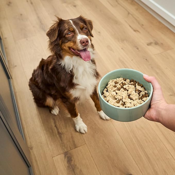 Open Farm, Canned Dog Food Topper, Silky Mousse Made with 96% Responsibly Sourced Icelandic Fish, Grain & Legume Free, Salmon Recipe, 4.59oz Cans (Pack of 12)