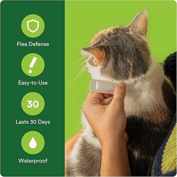 Advecta Plus Topical Large Cat Flea Treatment for Cats and Kittens, Flea Prevention and Control, Fast-Acting Waterproof Drops, 6-Month Supply