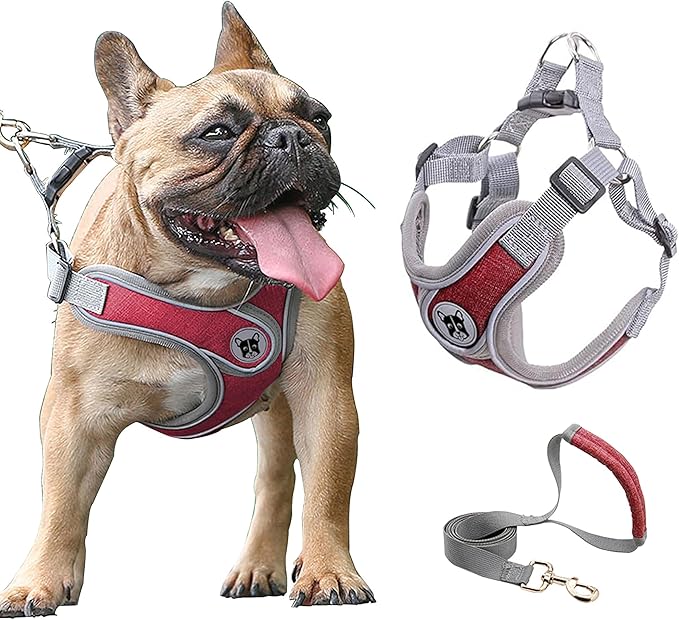 Small Dog Harness and Leash Set,No Pull Adjustable Step in Soft Mesh Vest Harness,Easy Walk Reflective Pet Harness with Padded Handle for Walking Training Small Medium Large Dogs and Cats (Red, S)