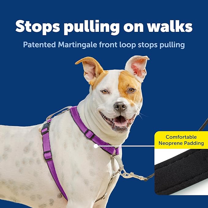 PetSafe 3-in-1 Harness - Comfortable Easy-Walk Dog Chest Harness with Front Leash Attachment to Reduce Pulling, Choking & Gagging - Dog Obedience Gear - Medium - Plum