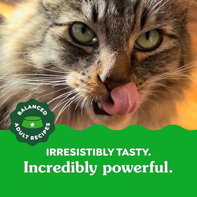 Greenies Feline Adult Natural Dental Care Cat Treats, Savory Salmon Flavor, 2.1 oz. Pouch (Pack of 2)
