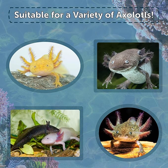 Aquatic Foods Inc. Axolotl Pellet Food 1/4" Soft Moist Sinking Pellets for Juvenile Axolotl Also Shrimp, Snails, Crayfish, Bottom Tropical Fish, Blackworm Pellets Included 12oz Canister