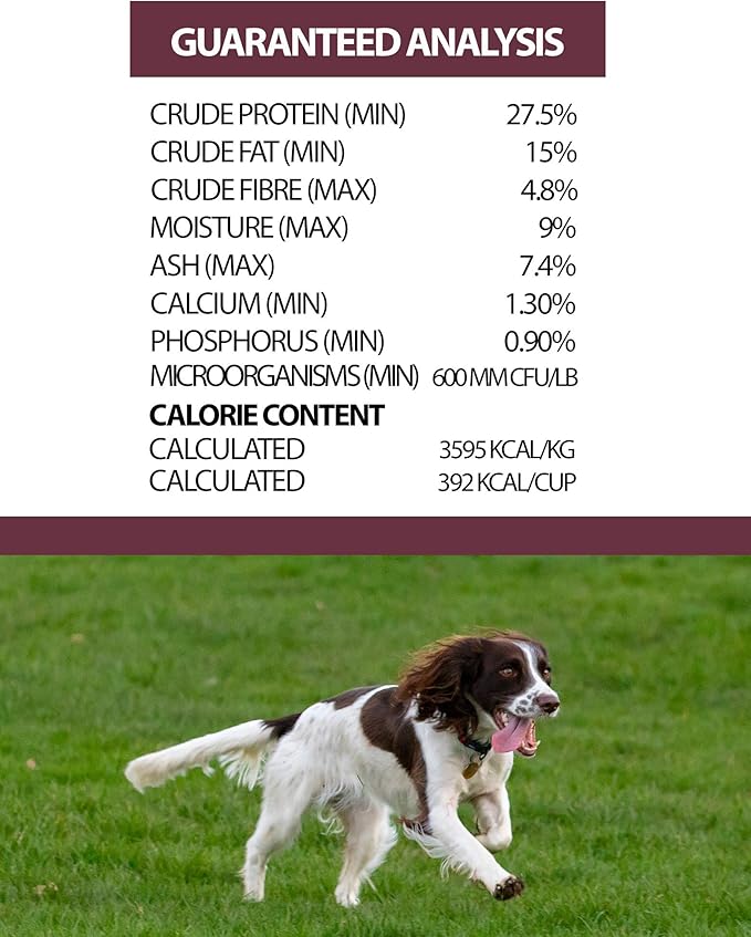 Pulsar Premium Grain Free Dog Food | Turkey Formula | All Life Stage, Non GMO, Meat Dense Diet | 8.8 lb Bag