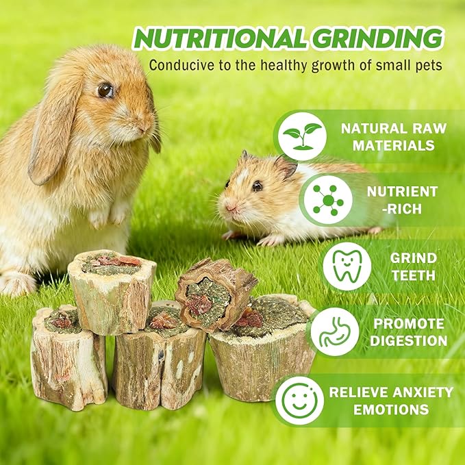 3.5oz Rabbit Chew Toys for Teeth，Bunny Papaya Wood Chew Toys Guinea Pig Treats with Apple Stick for Rabbits Guinea Pigs Hamsters Chinchillas Gerbils Prevent Teeth Overgrowth (3.5 oz, Fruit)