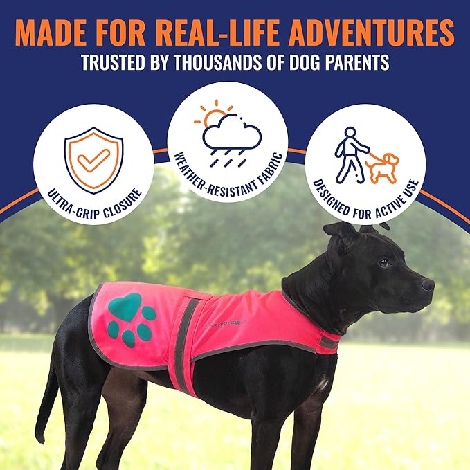 SafetyPUP XD Dog Reflective Vest – Hi-Vis Fluorescent Visibility That Helps to Safeguard Your Pet On/Off Leash in Urban & Rural Areas (Pink, X-Large)