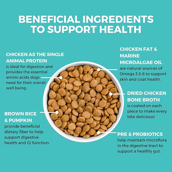 Limited Ingredient Dry Bland Diet Chicken & Brown Rice Recipe with Pumpkin for Dogs