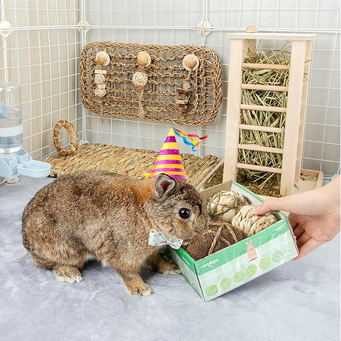 andwe Small Animals Play Balls Rolling Chew Toys & Gnawing Treats for Rabbits Guinea Pigs Chinchilla Bunny Degus - Pet Cage Entertainment Accessories (Pack of 4)