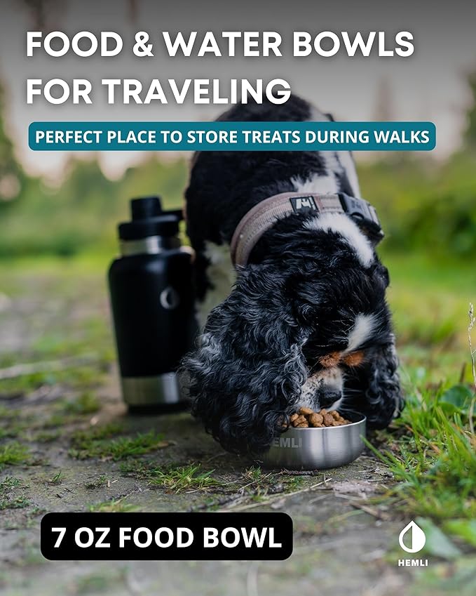 Dog Water Bottle Insulated Dog Travel Water Bottle Stainless Steel Pet Water Bottle Dispenser Portable Food and Water Bowl for Dogs with Carrying Case for Walking Dog Travel Kit… (Green Blue, 32 oz)