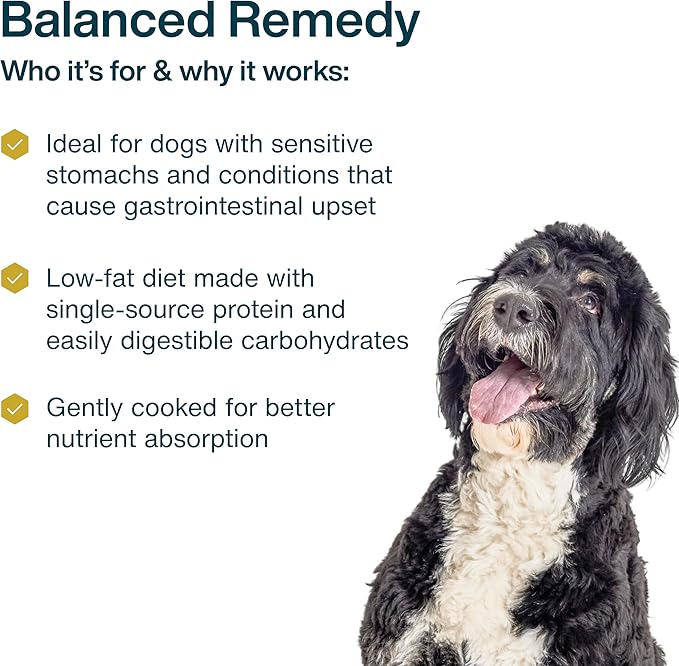 JustFoodForDogs Pantry Fresh Wet Dog Food, Complete Meal or Dog Food Topper, for Sensitive Stomachs, Balanced Remedy Human Grade Dog Food Recipe - 12.5 oz (Pack of 12)