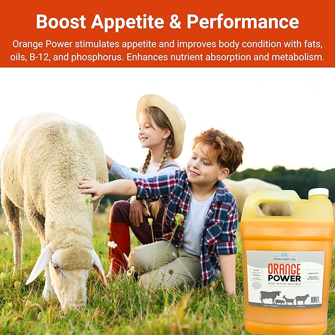 Orange Power Nutrient Supplement for Show Cattle, Sheep, Goats and Pigs - Appetite Stimulant & Performance Booster - Liquid Formula with B12 & Phosphorus (1 Gallon)