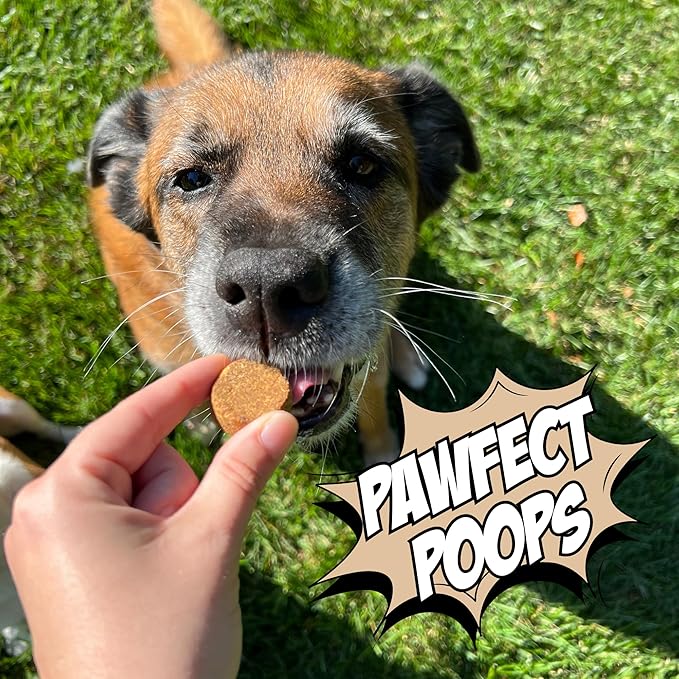 Chippin Chicken-Free, Peanut Butter Dog Treats – Sensitive Stomach & Allergy-Friendly, Puppy Training Treats, Healthy & Natural Christmas Treats for All Dogs, Easy to Digest Cricket Protein