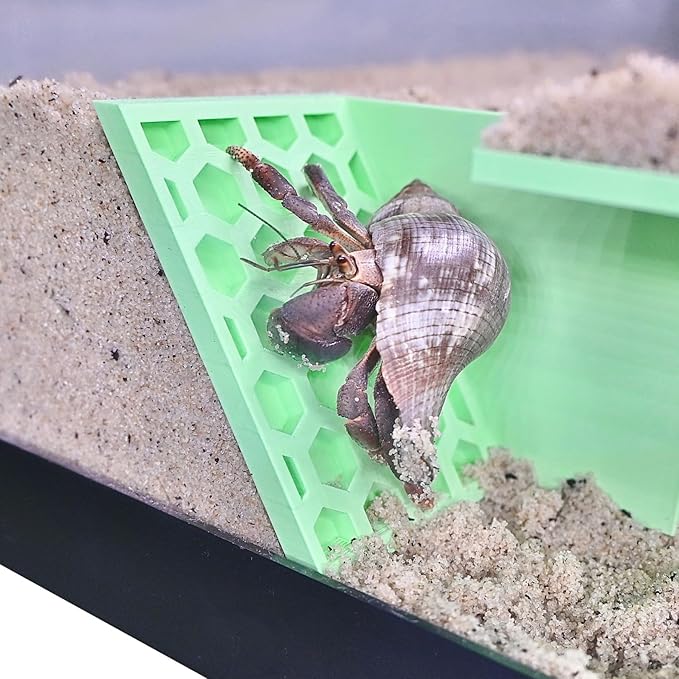 Hermit Crab Underground Tunnel Cave Corner | Hermit Crab Climbing Tank Decor Hide Hideout | Enrichment Habitat Hideaway Decoration Accessories Supplies Toys Ornaments (Seafoam Green)