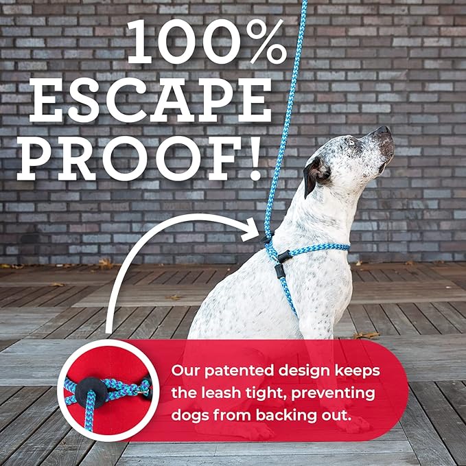 Harness Lead No Pull Dog Harness and Leash Set, Anti Pull Dog Harness, One-Piece Cushioned Rope Safely Prevents Escaping and Pulling *New Insert is Removable (Medium/Large, Peacock/Blue/Lime)