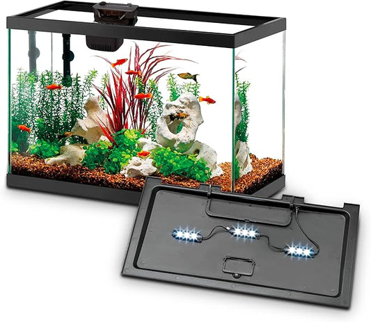 Aqueon Aquarium Starter Kit with Smart Clean Filtration and LED Lighting, Freshwater and Saltwater Fish, Perfect for Tetras, Guppies, Platies, 10-Gallon