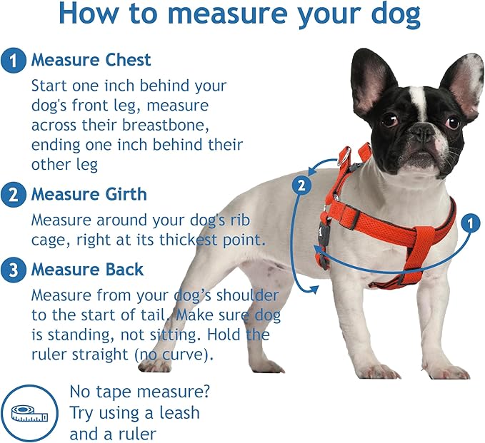 Kruz No Pull Dog Harness (Chest 30”-44”, Weight 66-176 lbs) Heavy-Duty Pet Harness for Large Breeds, Ultra-Comfort Fit, Lifetime Durability, Adjustable Dog Harness No Pull Design (Pink, X-Large)