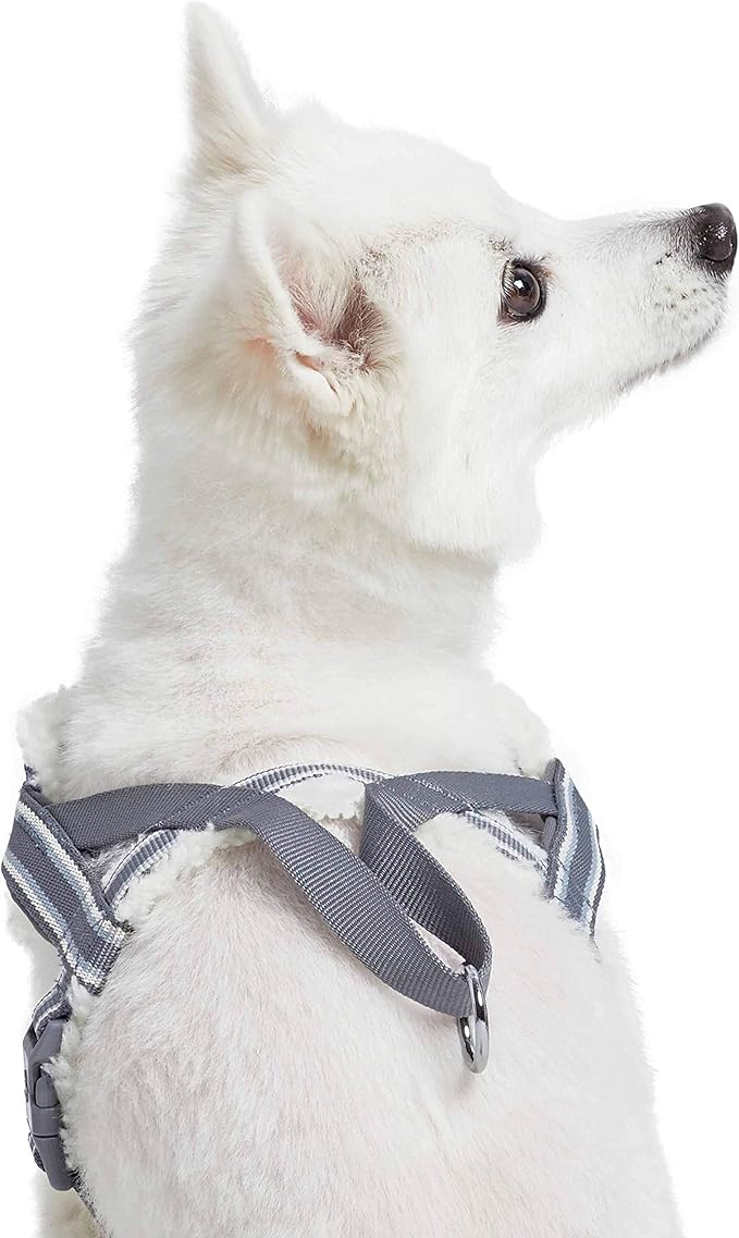 Blueberry Pet Soft & Comfy Multi-Colored Stripe Fleece Padded Chest Dog Harness, Chest Girth 16.5" - 21", Grey, Small, Adjustable No Pull Training Harness for Dogs