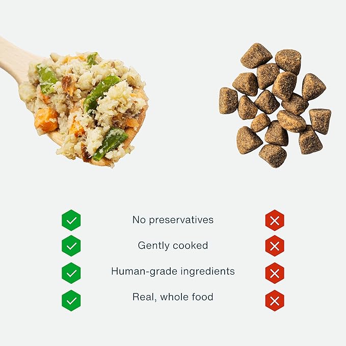 JustFoodForDogs Frozen Fresh Dog Food for Sensitive Stomachs, Complete Meal or Dog Food Topper, Balanced Remedy Human Grade Dog Food Recipe, 72 oz (Pack of 7)