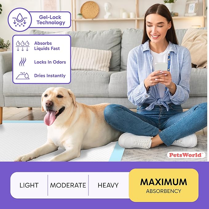 PETSWORLD 2XL Puppy Pads, 28x44 Inch, 1000 Count| Ultra-Absorbent, Leak-Proof Dog Pee Pads for Potty Training