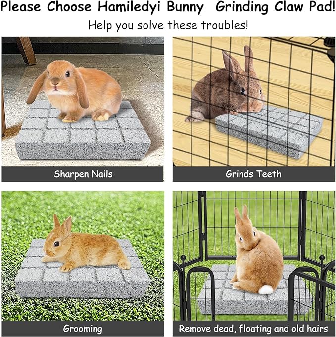 Hamiledyi 10PCS Rabbit Scratching Pad Bunny Lava Grinding Claw Board Small Animal Foot Pad Hamster Chew Toys for Gerbil Chinchilla Hedgehog Guinea Pig Cage Accessories