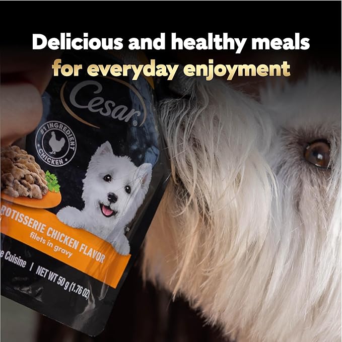 Cesar Filets in Gravy Wet Dog Food Filet Mignon Flavor and Rotisserie Chicken Flavor Variety Pack, Wet Food for Dogs, 1.76 oz. Mini-Pouches, 20 Count (Pack of 2)