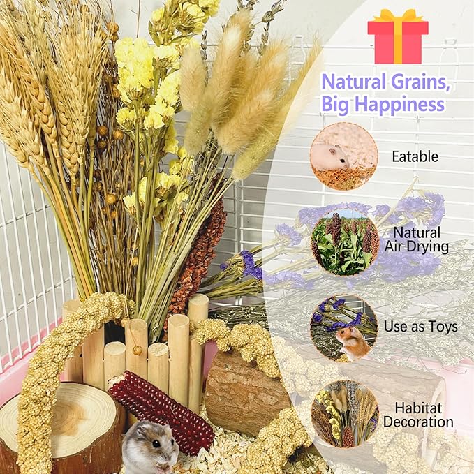 Natural Hamster Flower & Herb Habitat Deocr, Edible Hamster Sprays Flowers Bedding Mate, Hamsters Cage Enrichment Decoration Accessories for Dwarf Syrian Hamster Gerbil Mice Degus