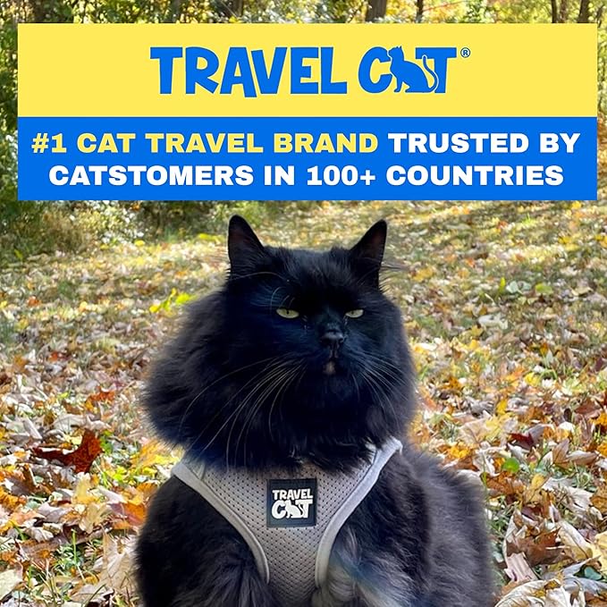 Travel Cat Harness and Leash Set - Adjustable Fit Mesh Cat Harness and Reflective Strap - Comfort Walking Vest for Kitten for Outdoor Walking, Hiking (Small, Grey)