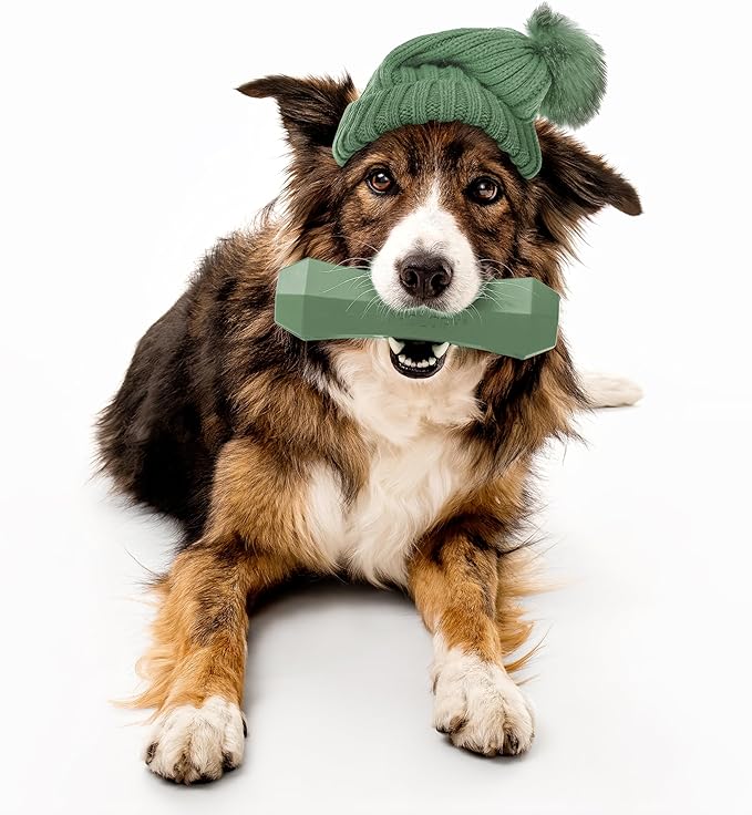Playology Dog Toys | Durable Squeaky Chew Stick for Dogs | Jumbo Butternut Squash & Sage Scented Toy - Limited Edition Fall Collection | Easy to Clean and Made from Non Toxic Materials