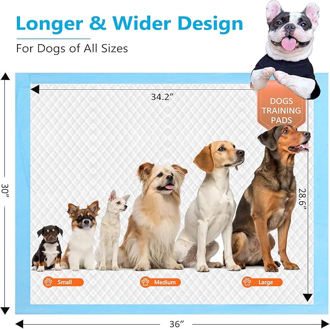 Puppy Pee Pads for Dogs - 30''x36'' Pet Training Dog Pee Pads, 60 Count Dog Pee Pads Extral Large, Heavy Absorbent & Leak-Proof Puppy Pads, Thicken 6 Layers Disposable Potty Pads for Dogs Cats