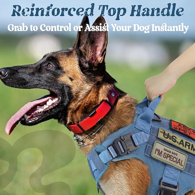 rabbitgoo Tactical Dog Harness for Small, Heavy Duty Pet Harness with Handle, No-Pull Service Vest Small Breed, Adjustable Military Dog Vest for Training Hunting Walking, Blue, S