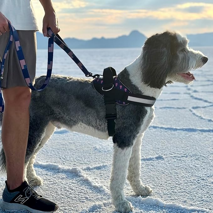 ShawnCo Essential Dog Harness, No-Pull Pet Vest with 3 Leash Clips, No Choke, Reflective, Adjustable and Padded, for Easy Walking and Training for Small, Medium and Large Dogs (USA Flag,M)