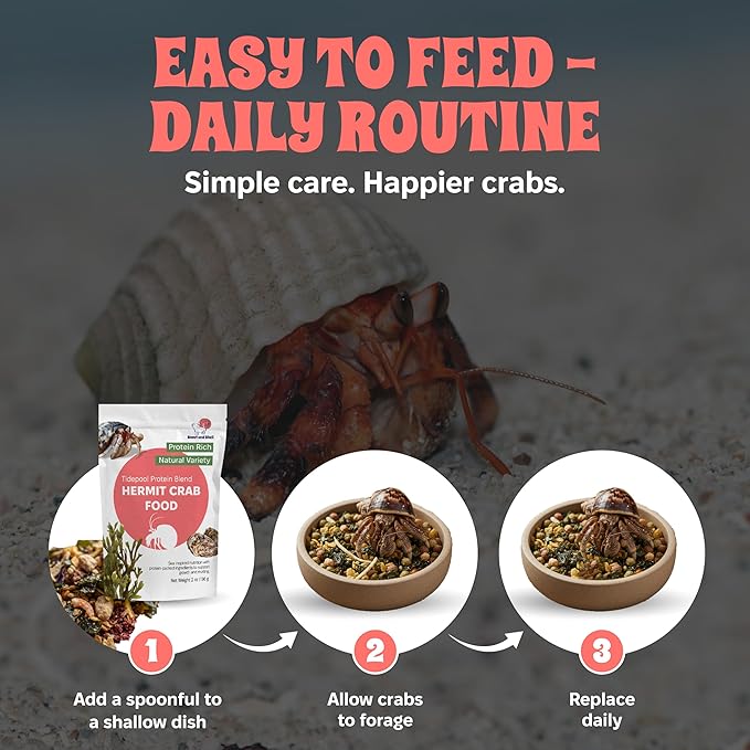 Snout and Shell Tidepool Protein Blend Hermit Crab Food – High Protein, Natural Sea-Inspired Variety, Supports Growth & Molting – 2 oz / 56 g