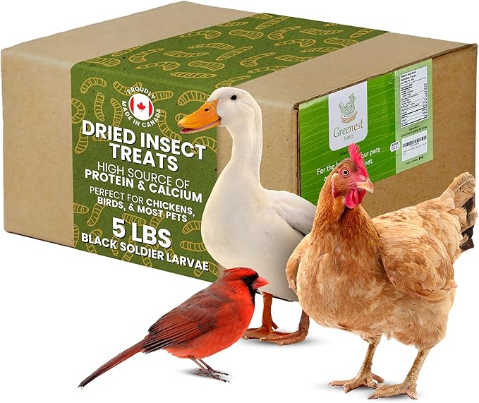 Dried Black Soldier Fly Larvae for Chickens & Ducks – Treats for Ducks, Hens, Wild Birds, Lizards, Tortoises & Fish – All Natural High Protein & Calcium – Mealworms Alternative – Made in North America