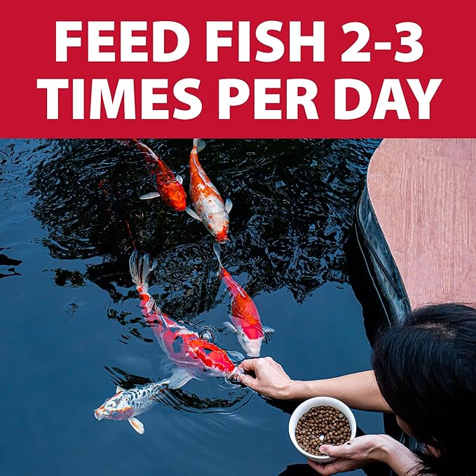The Pond Guy Staple Fish Food for Backyard Koi & Goldfish, Choice Floating Pellets for Fish Wellness & Health, Smart Nutrition for Clean Ponds, 40 lbs