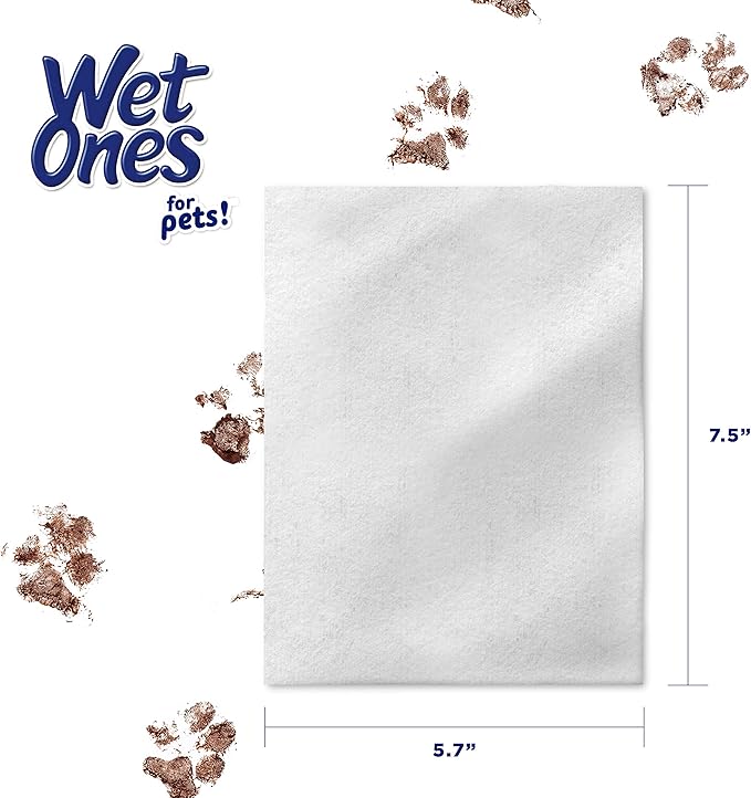 Wet Ones for Pets Multipurpose Dog Wipes with Aloe Vera, Tropical Splash Scent - Pet Bathing Wipes with Wet Lock Seal for Dog Paws & All Over Use, 100 Count